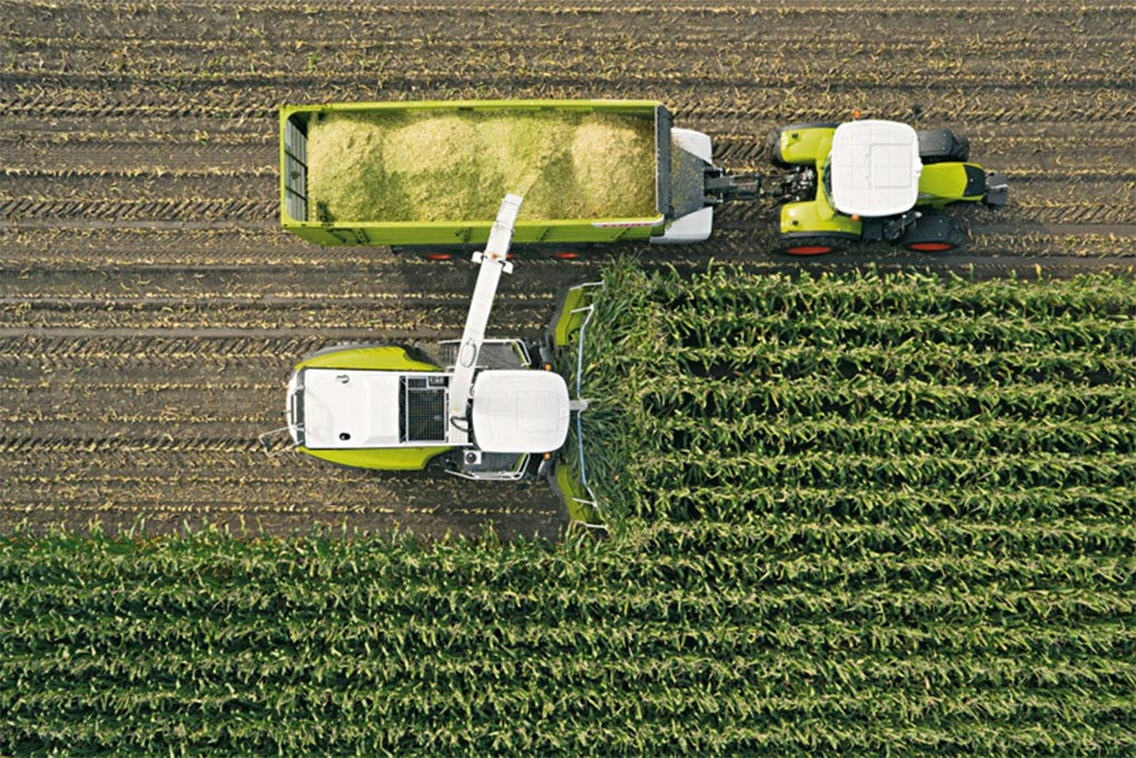 Agromais Sustentabilidade Económica