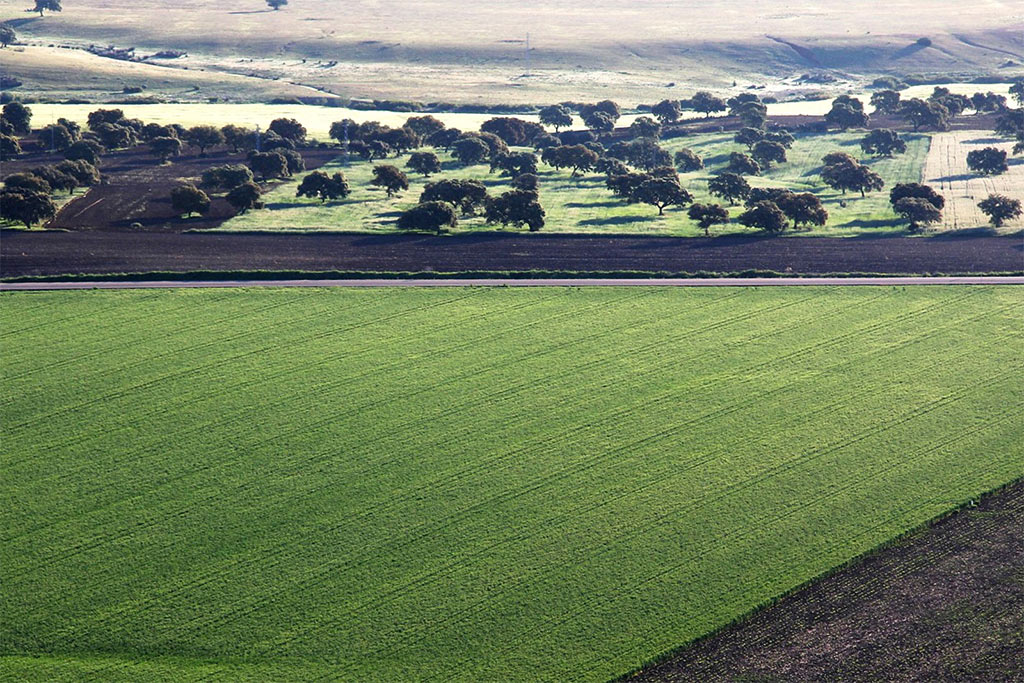 Agromais