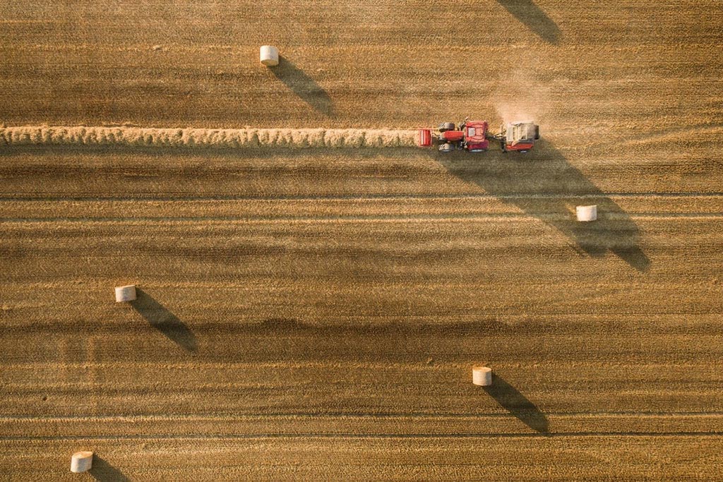 Agromais